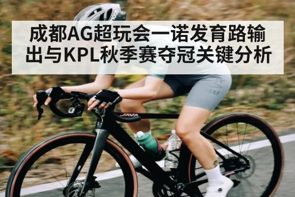 成都AG超玩会一诺发育路输出与KPL秋季赛夺冠关键分析